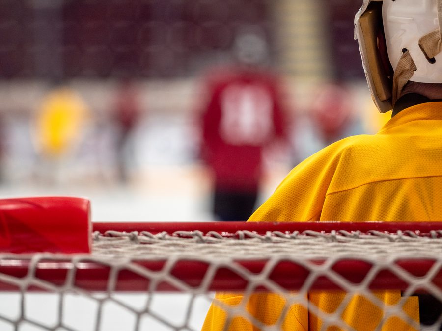 A league goalie set in the crease